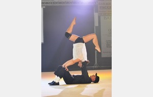 Grand Spectacle Son et Lumières &quot;Art and Gym&quot; !