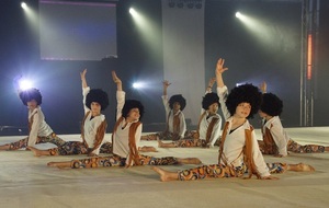 Spectacle son et lumières Art &amp; Gym - 28/06/2014