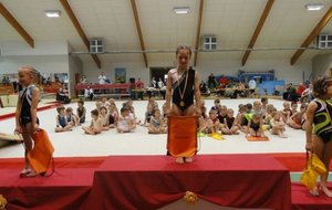 CEindivlormai013.jpg