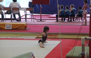 140.JPG