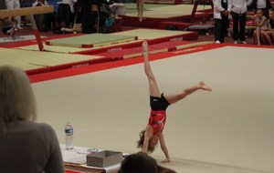 50a90276dca54_Kilian (8).JPG