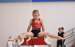 5949303d486ac_DSC9530.jpg