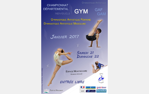 Compétition départementale individuelle GAM/GAF - Pont à Mousson
