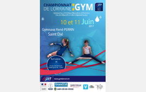 Compétition régionale par équipes (CE & LR) - Saint-Dié