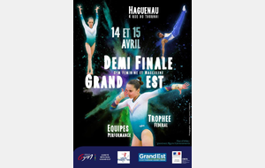 Championnat régional par équipes Performance & Fédéral A - Haguenau