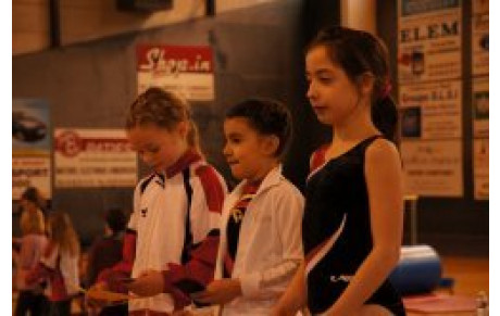 4 gymnastes décrochent un Super Tremplin à Longwy 